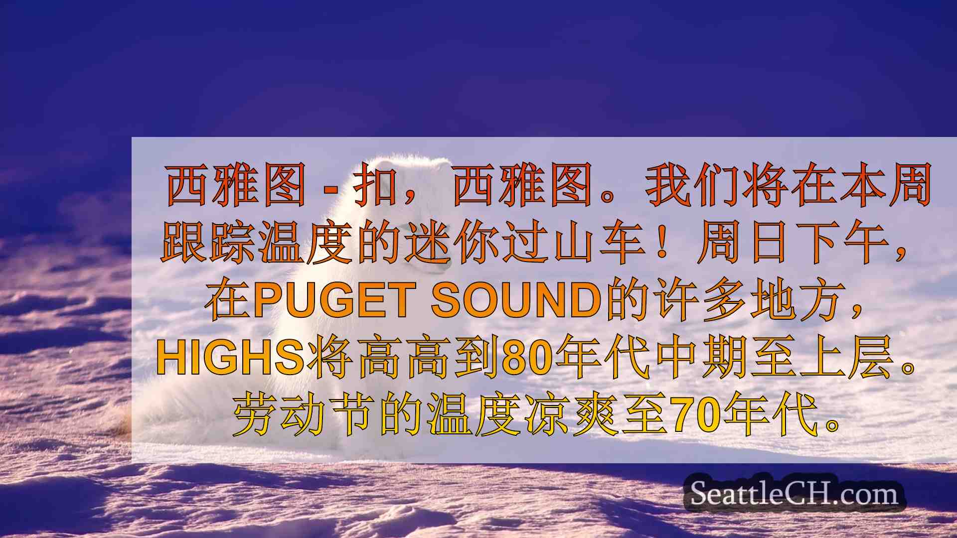 西雅图新闻 SeattleCH