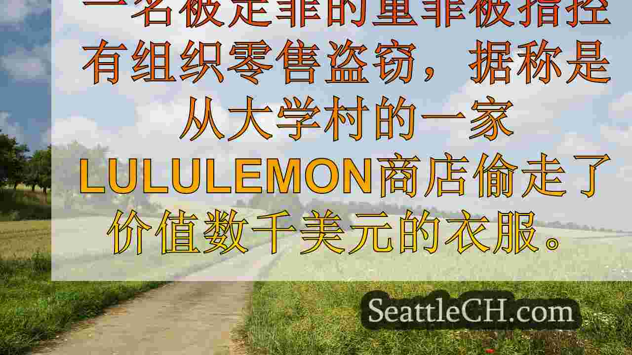 视频：西雅图盗窃嫌疑人恳求军官不向他起诉