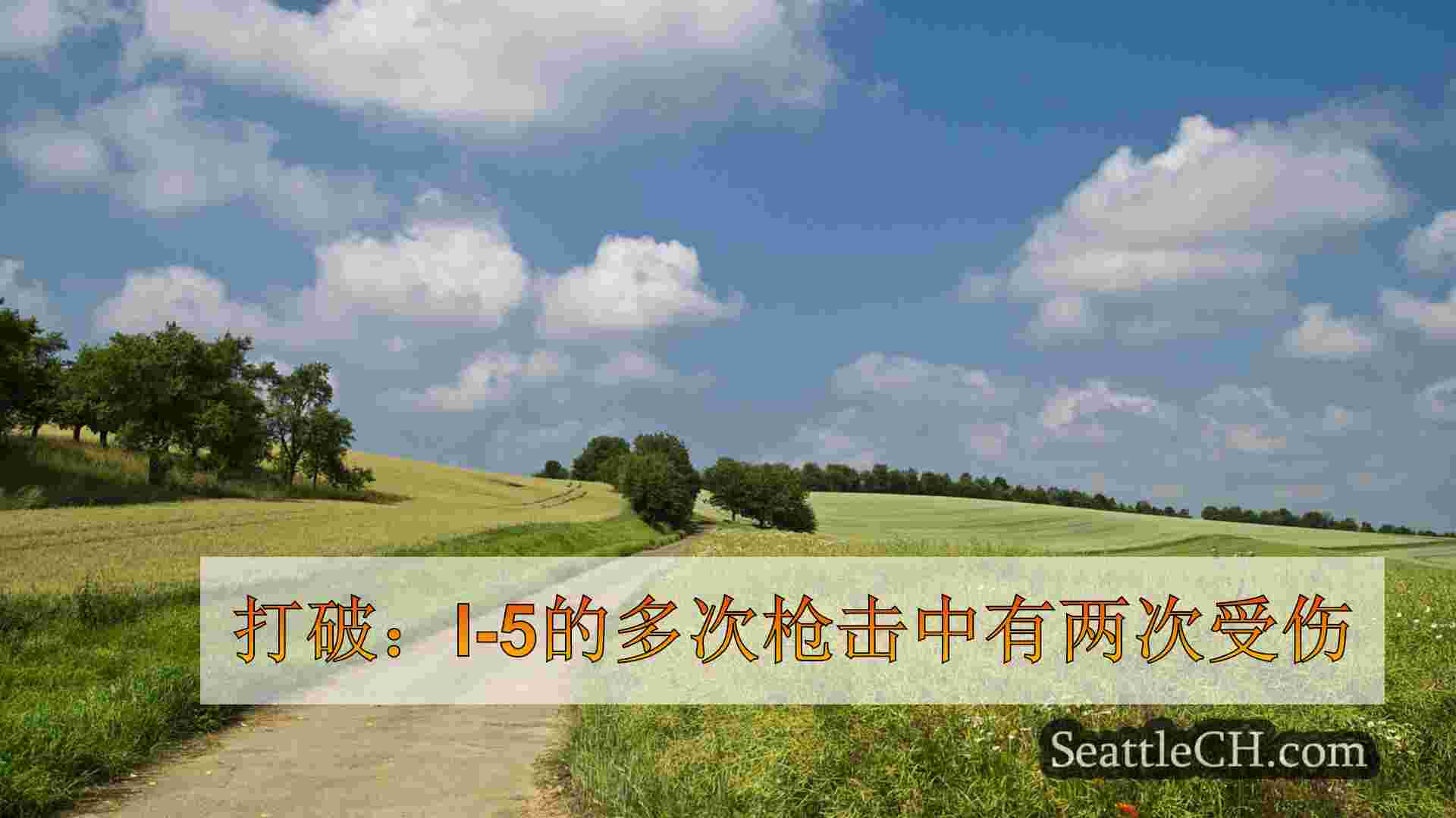 西雅图新闻 SeattleCH