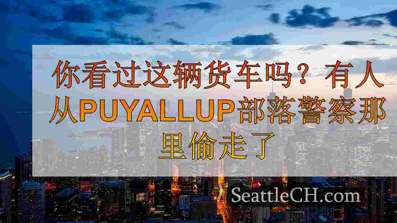 西雅图新闻 SeattleCH