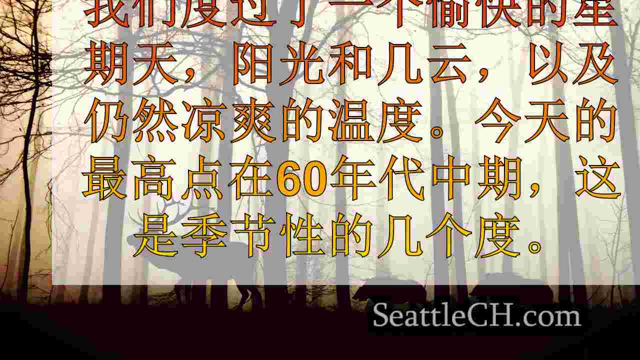 西雅图新闻 SeattleCH