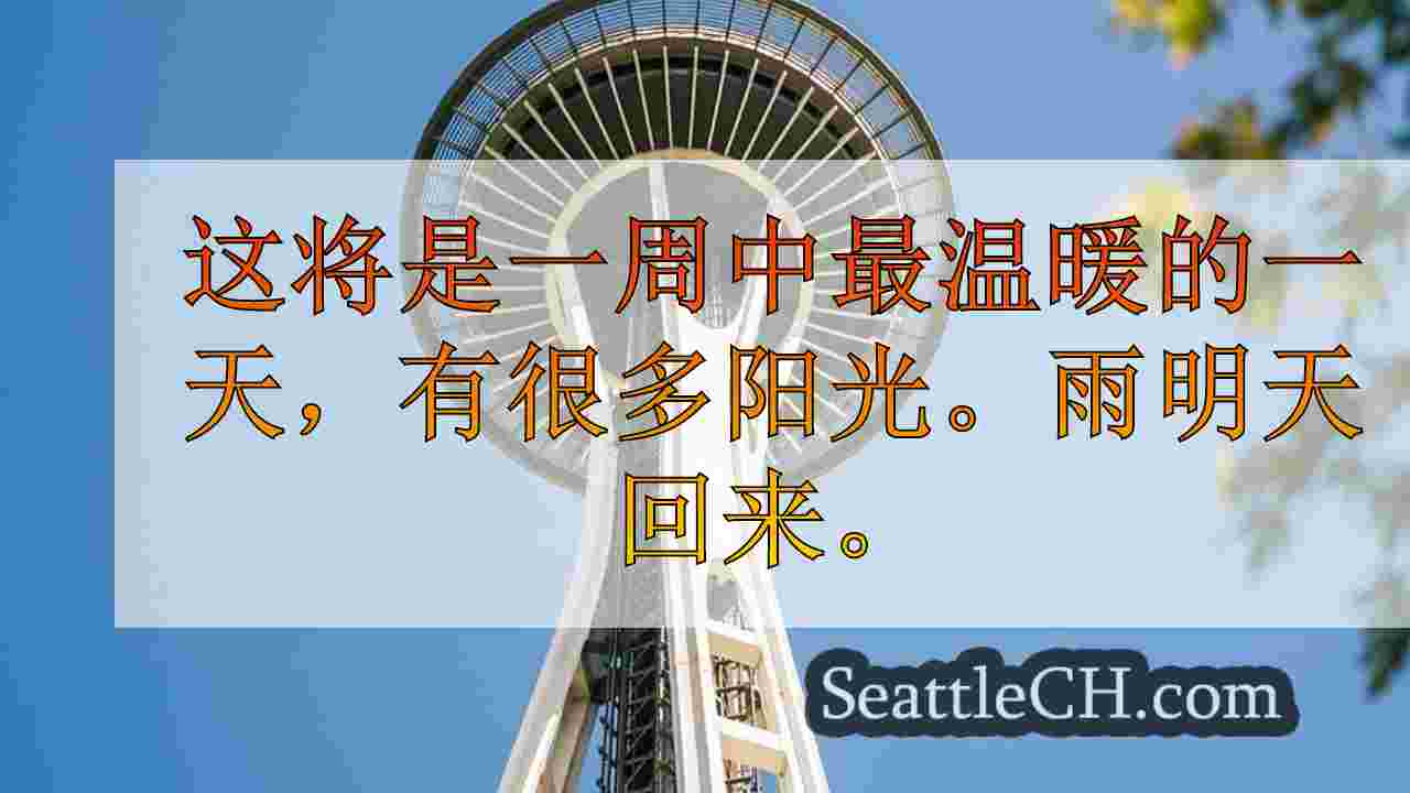 周二在西雅图的2024年下午7点下午7点