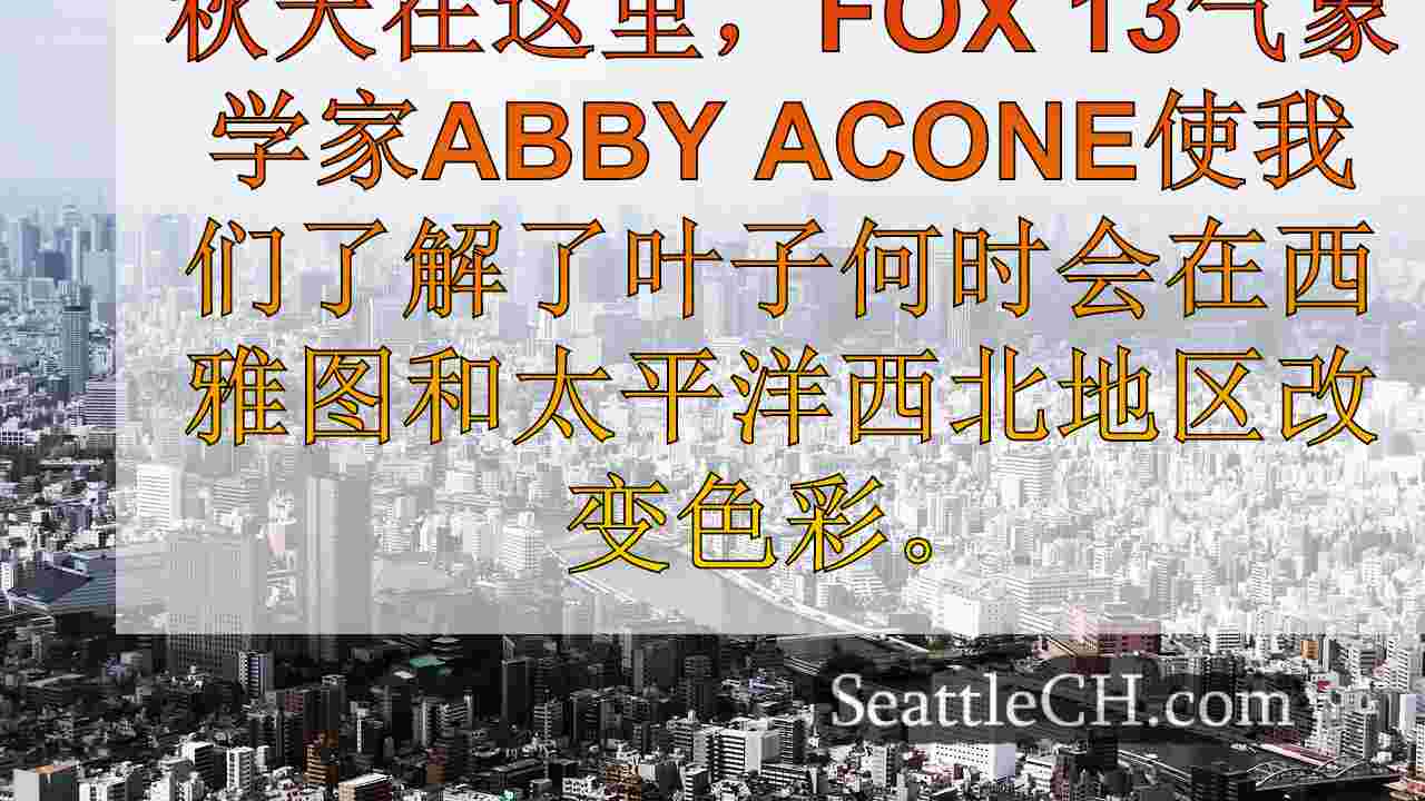 西雅图新闻 SeattleCH