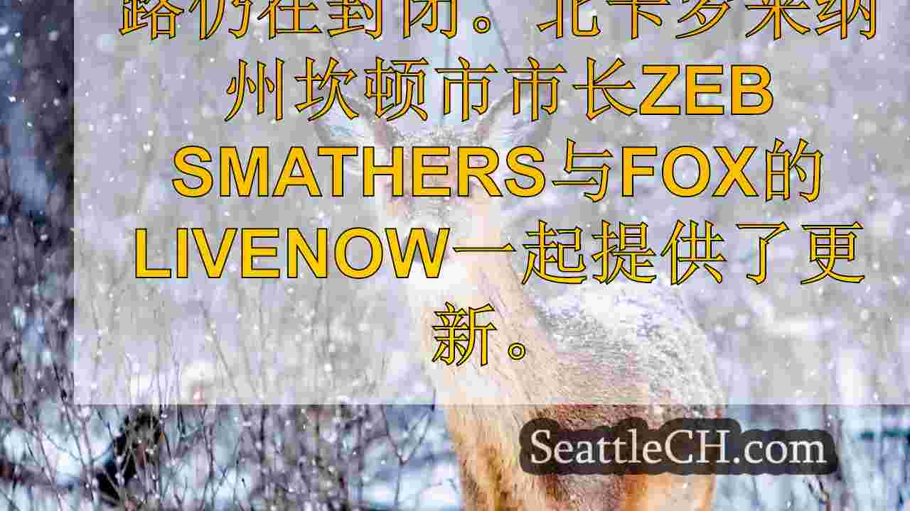 西雅图新闻 SeattleCH