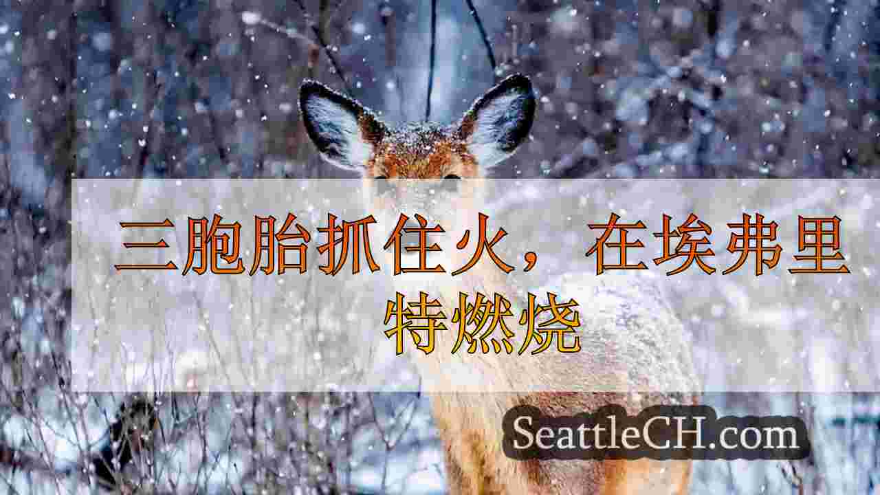 西雅图新闻 SeattleCH