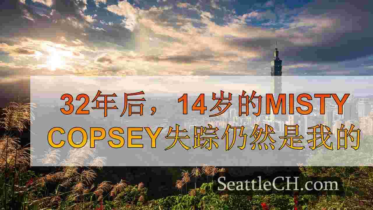 西雅图新闻 SeattleCH
