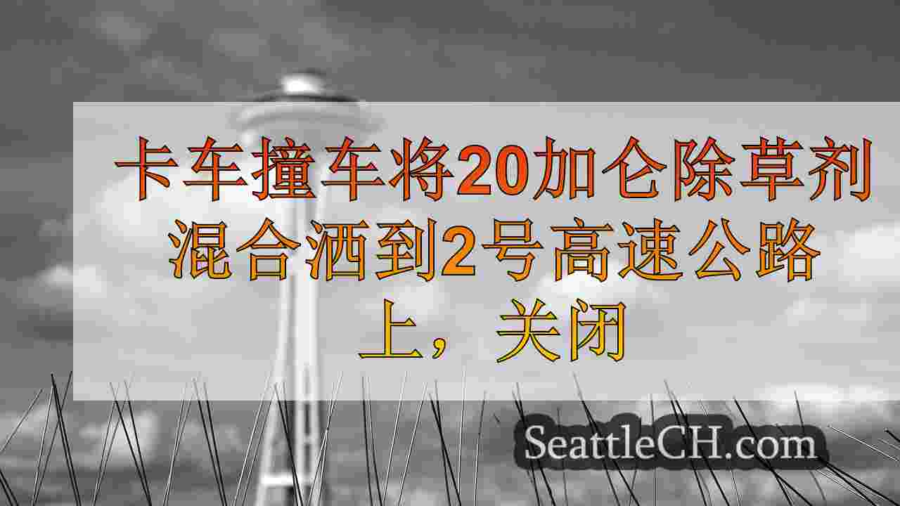 西雅图新闻 SeattleCH