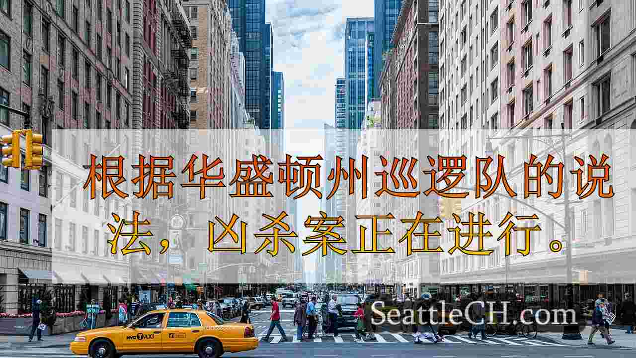 西雅图新闻 SeattleCH