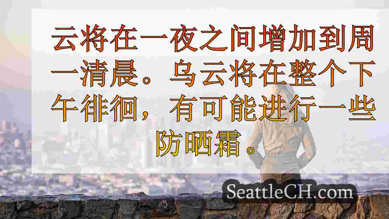 西雅图新闻 SeattleCH