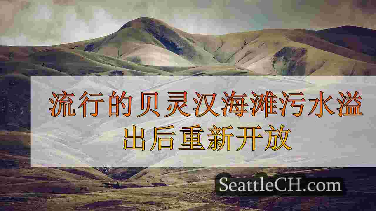 西雅图新闻 SeattleCH
