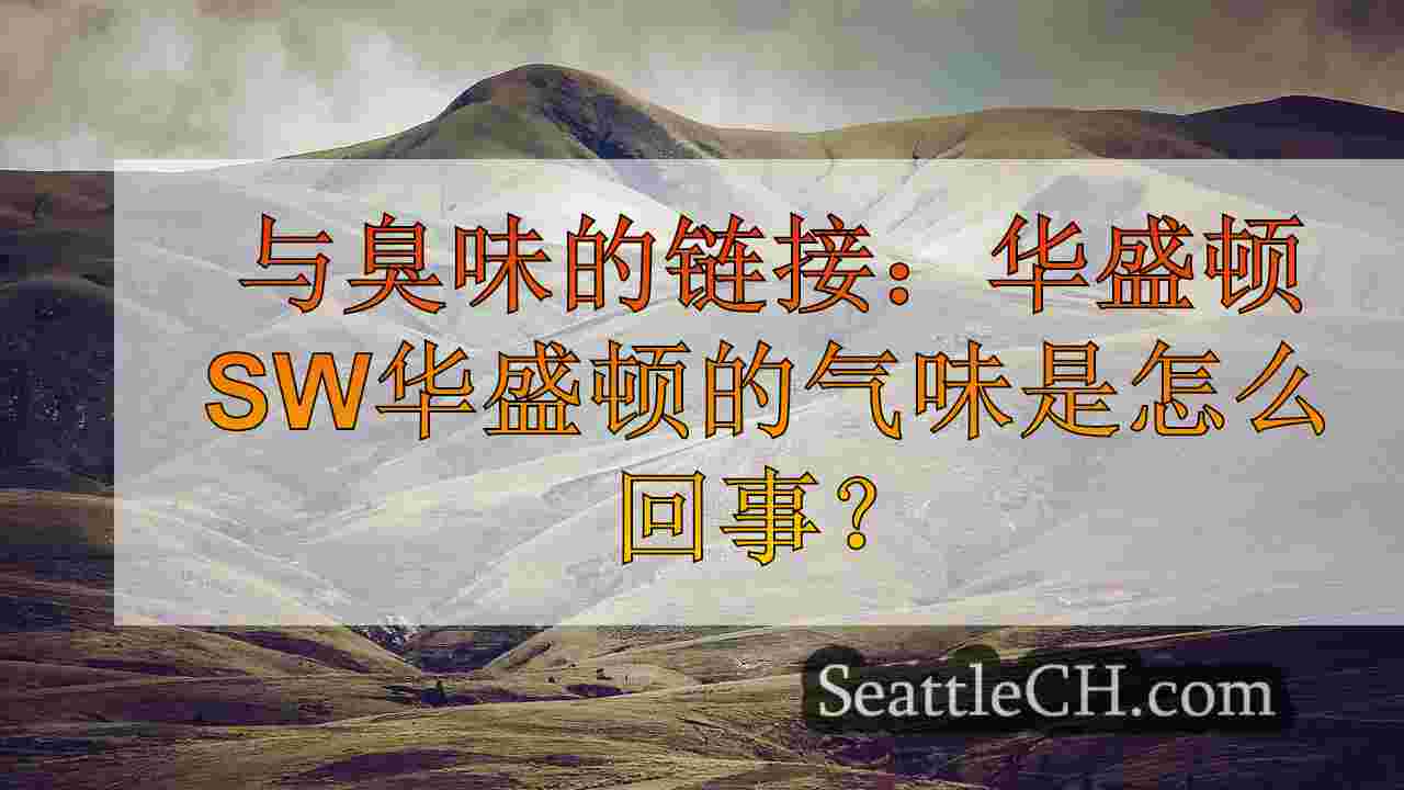西雅图新闻 SeattleCH