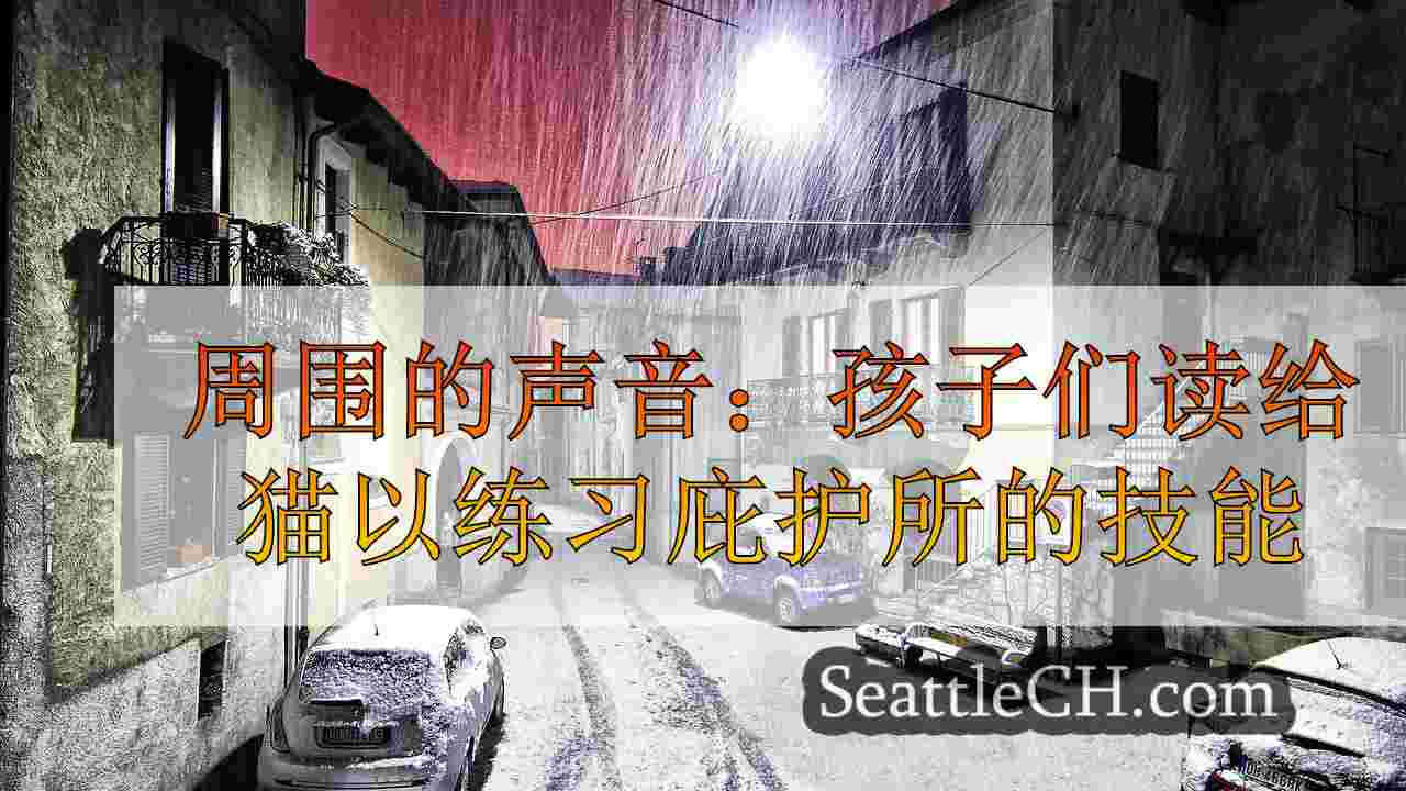 西雅图新闻 SeattleCH
