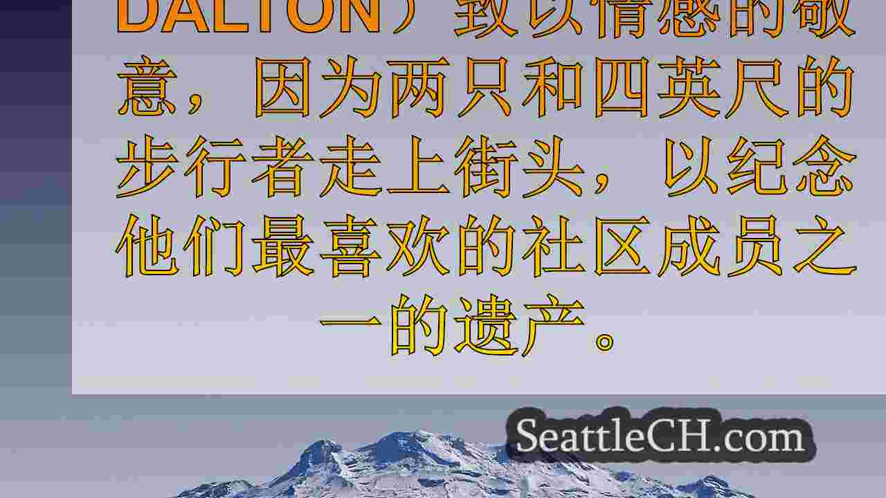西雅图新闻 SeattleCH