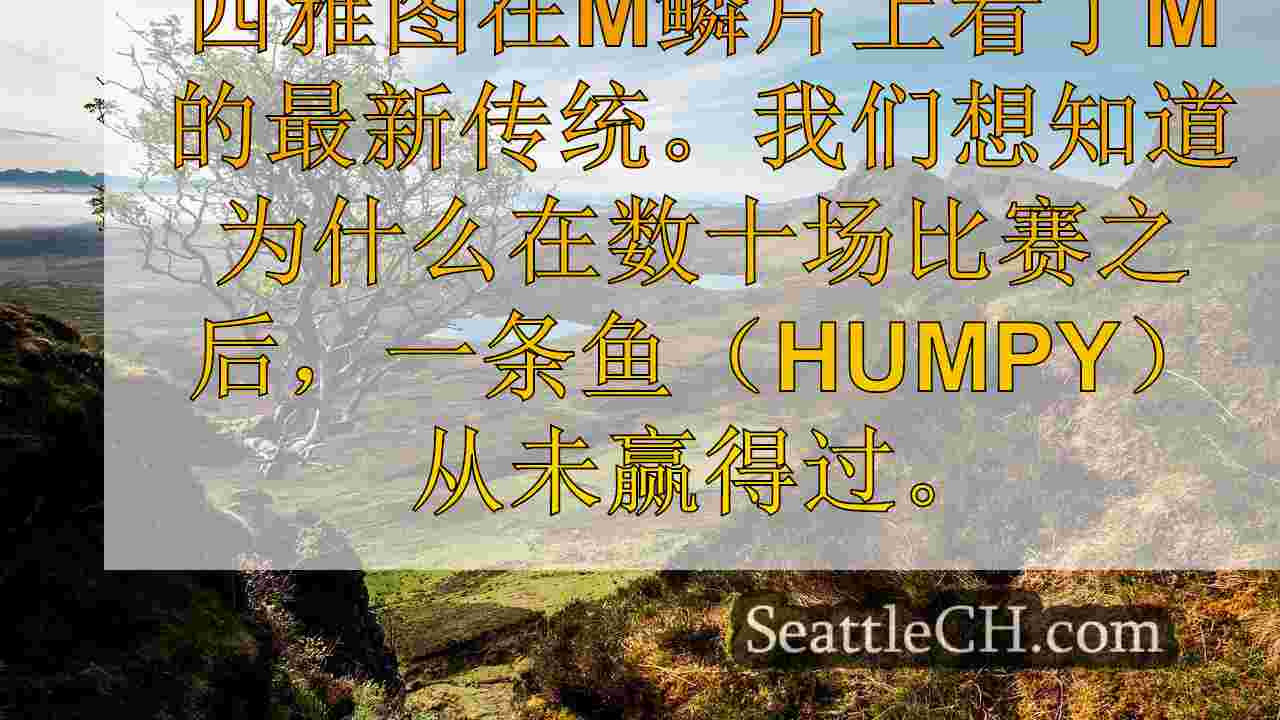 西雅图新闻 SeattleCH