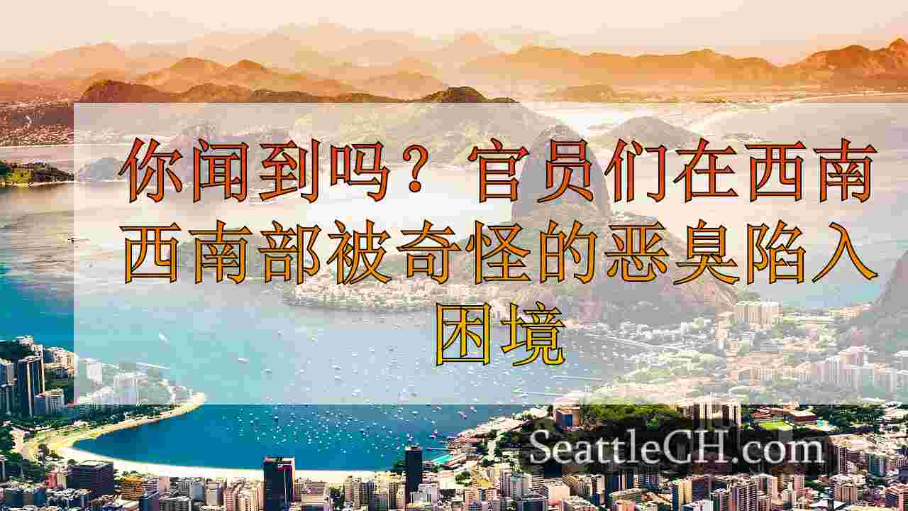 西雅图新闻 SeattleCH
