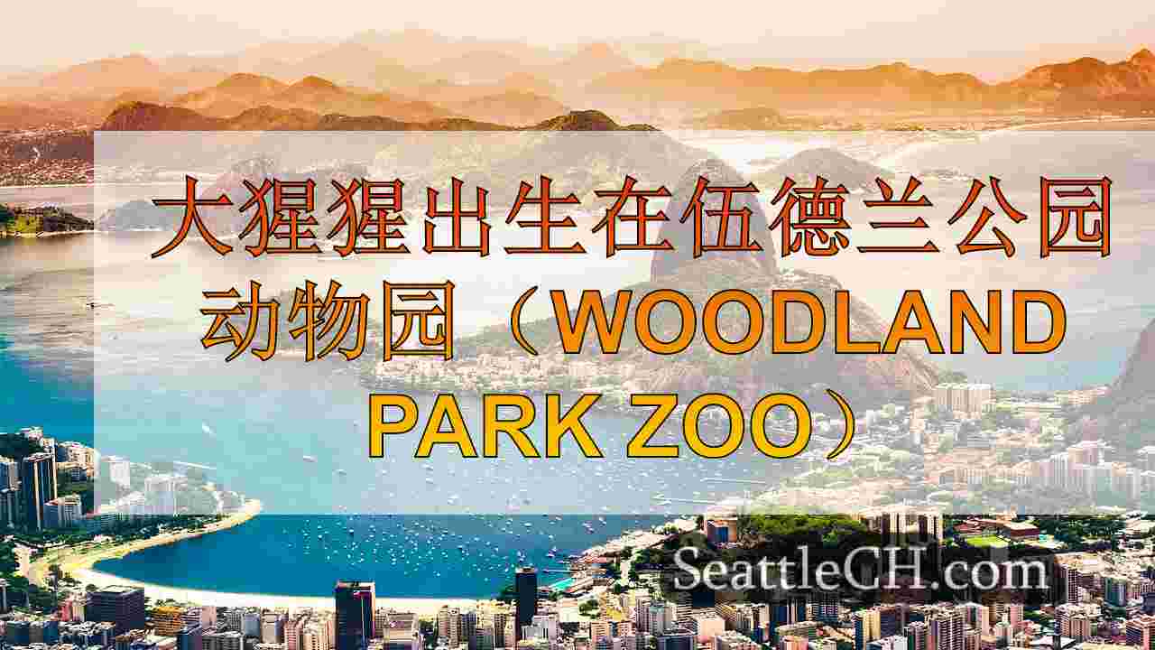 西雅图新闻 SeattleCH