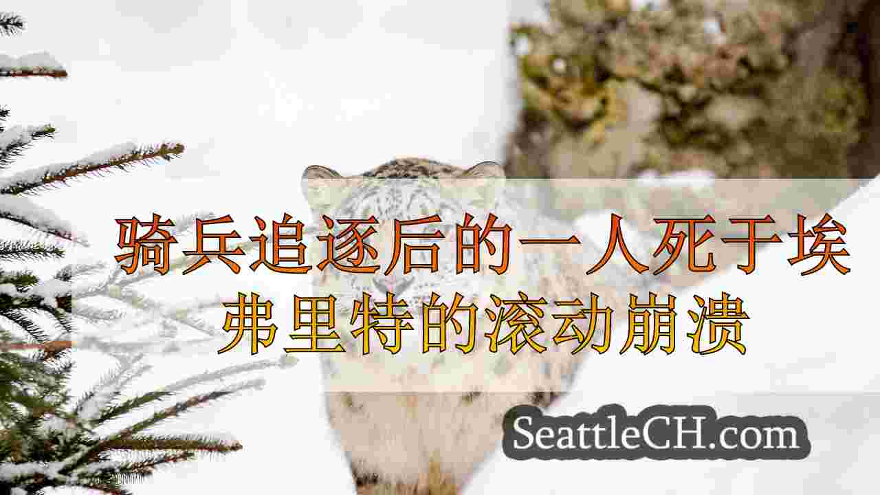 西雅图新闻 SeattleCH