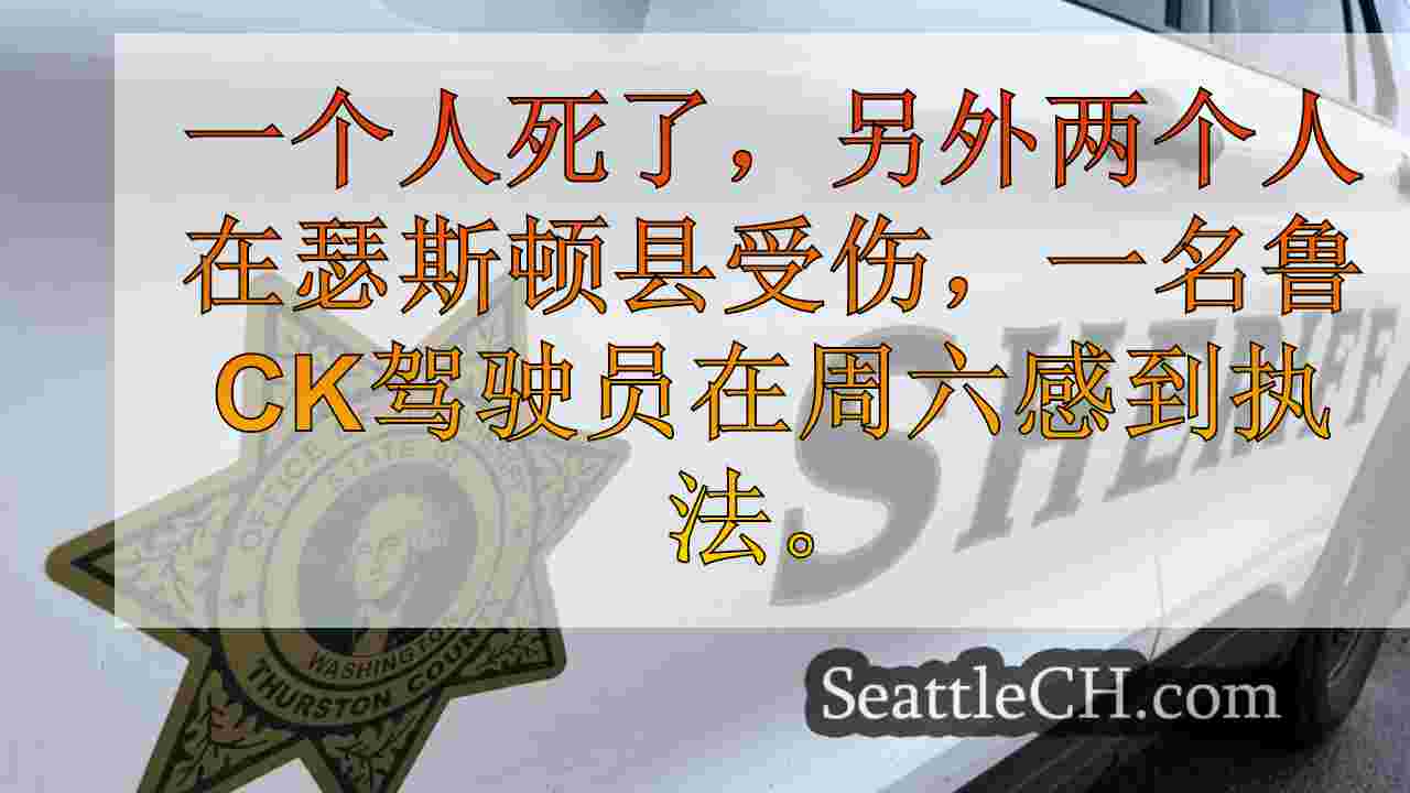 瑟斯顿县追捕期间，鲁ck驾驶员撞上车辆后，有1人受伤