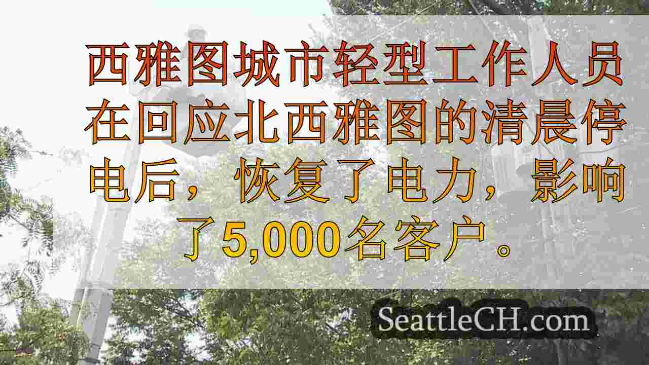 西雅图城市光在电力线中的气球后恢复电源导致早晨中断