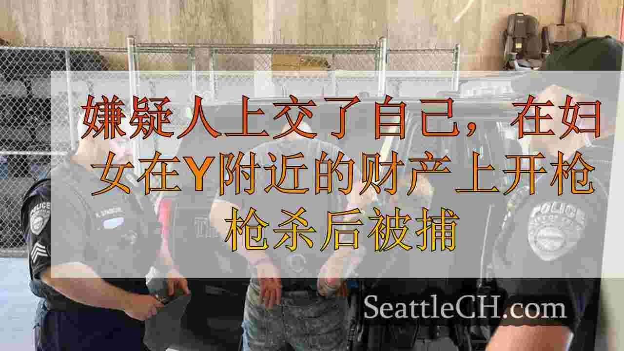 嫌疑人上交，在耶尔姆附近的妇女枪杀后被捕
