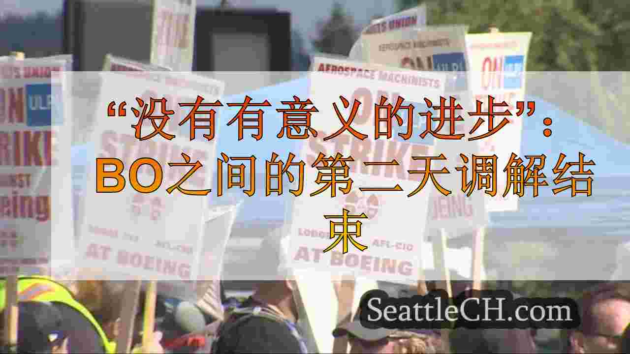 “没有有意义的进步”：波音，工会之间的第二天调解结束