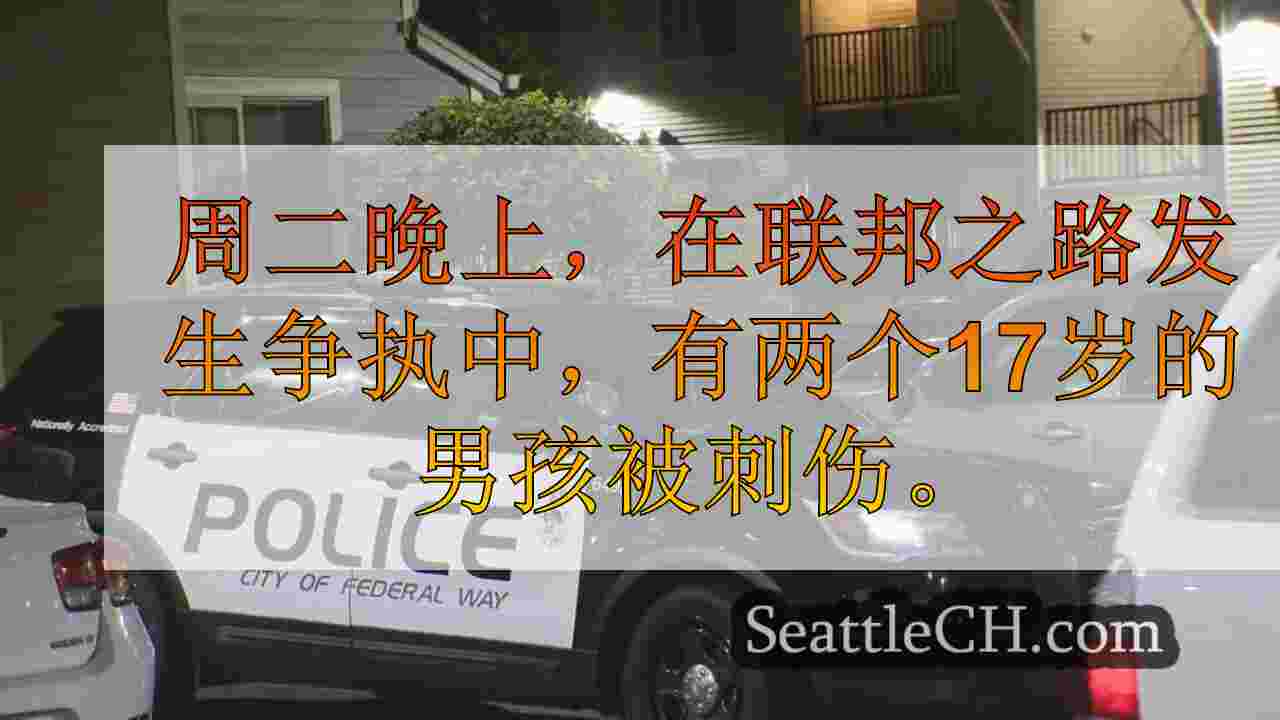 2名青少年以联邦方式刺伤，可疑拘留