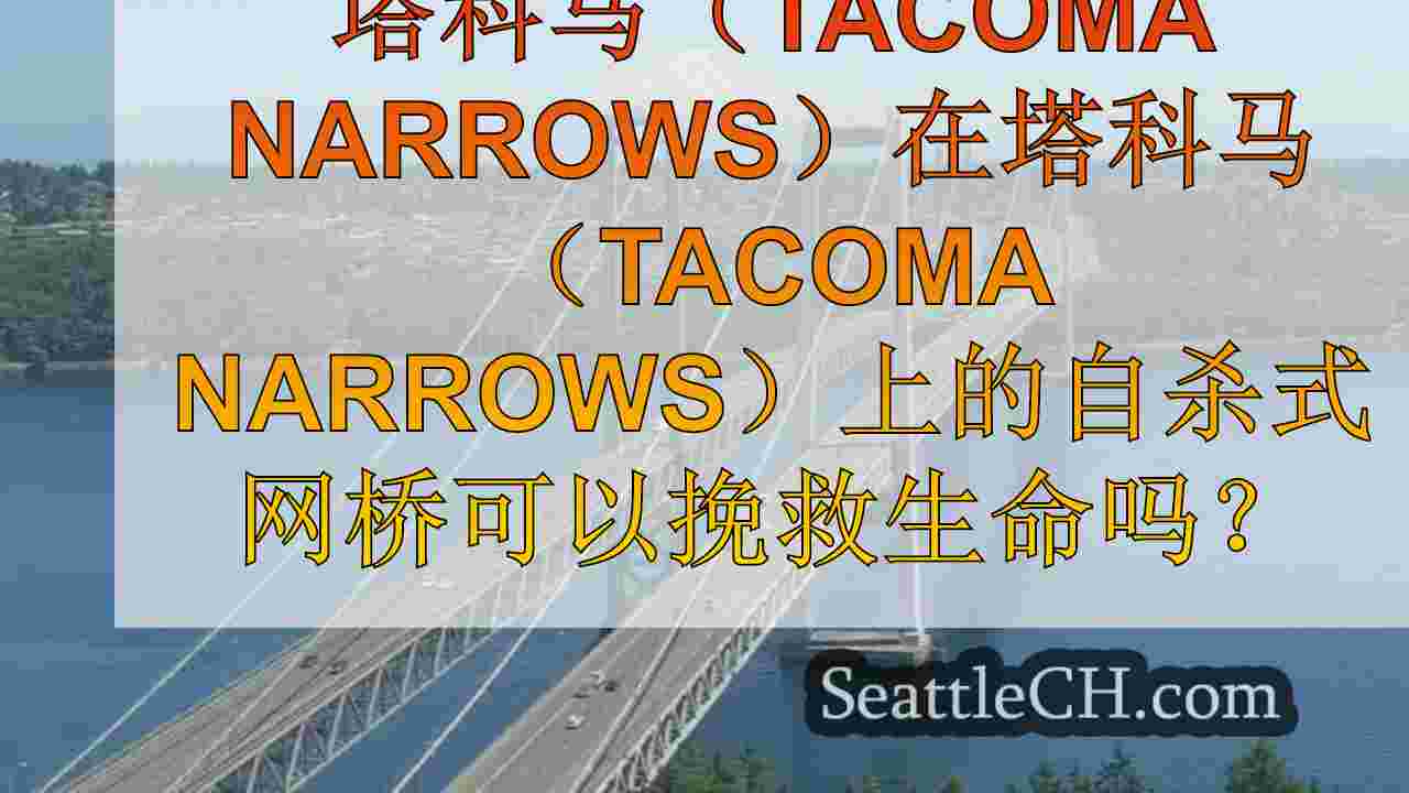 塔科马（Tacoma Narrows）在塔科马（Tacoma