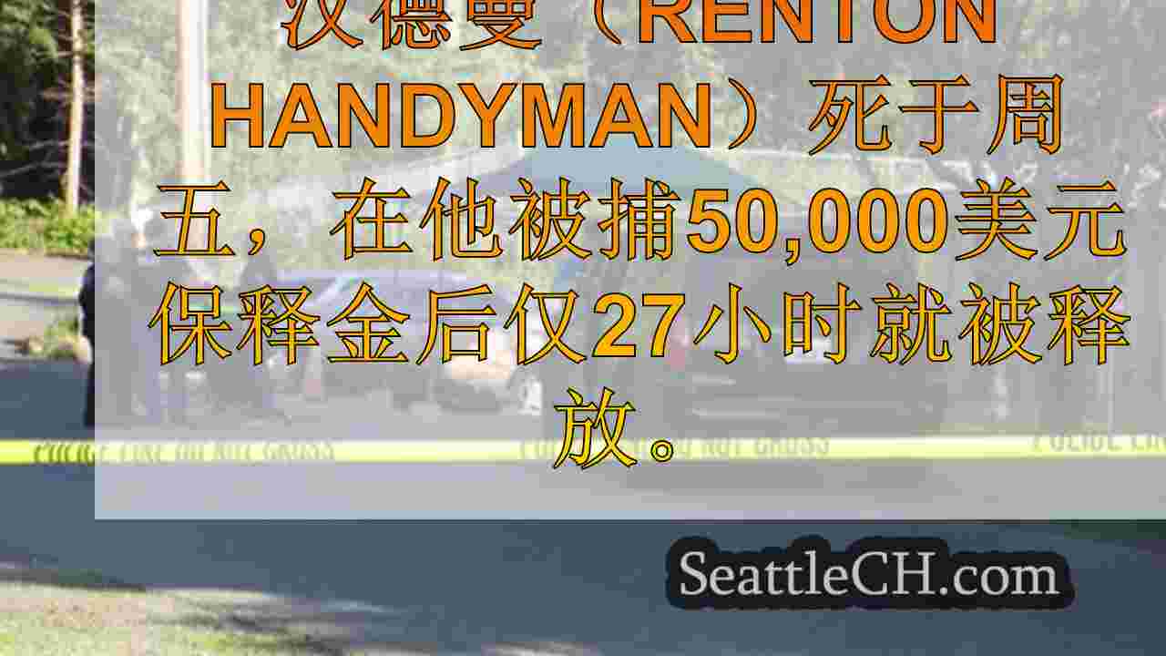 被捕后27小时在伦顿刺杀中被杀的男子被刺伤。