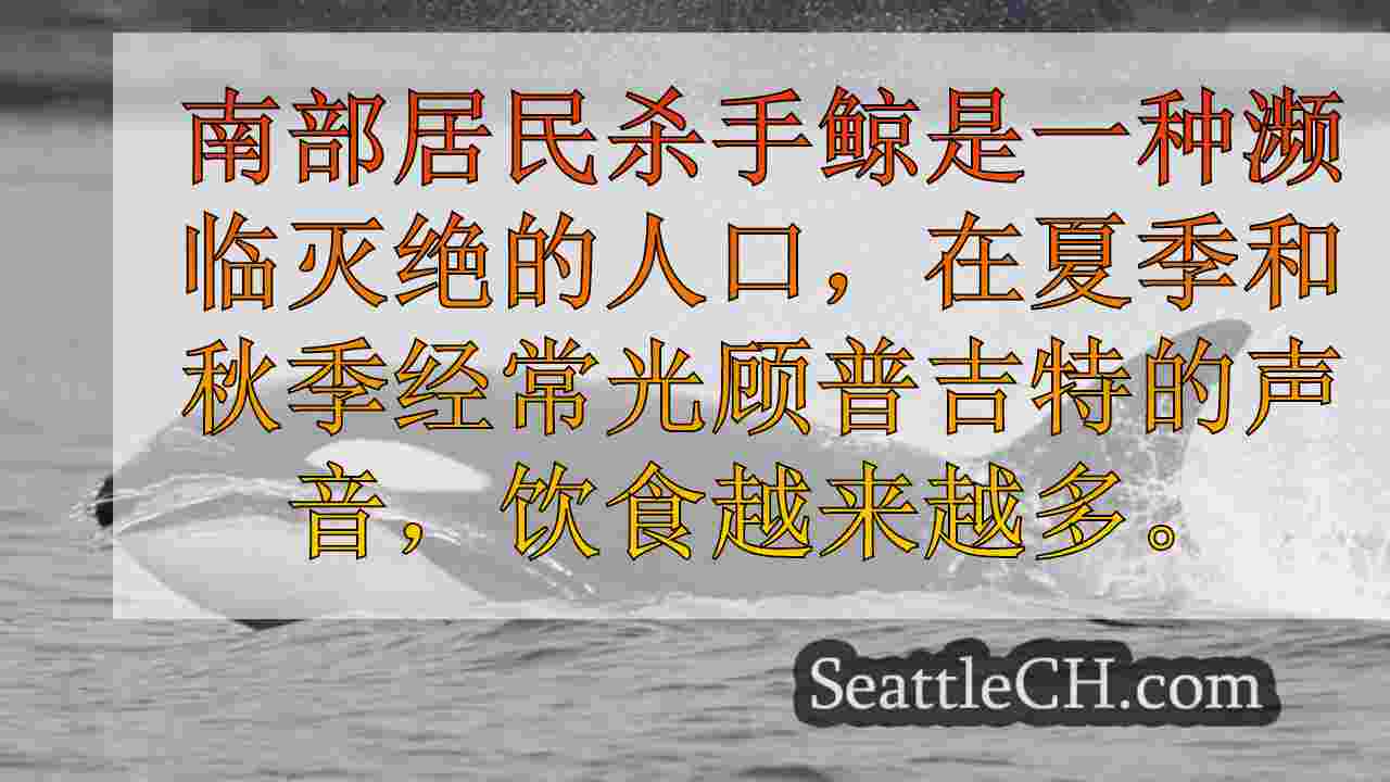 研究表明