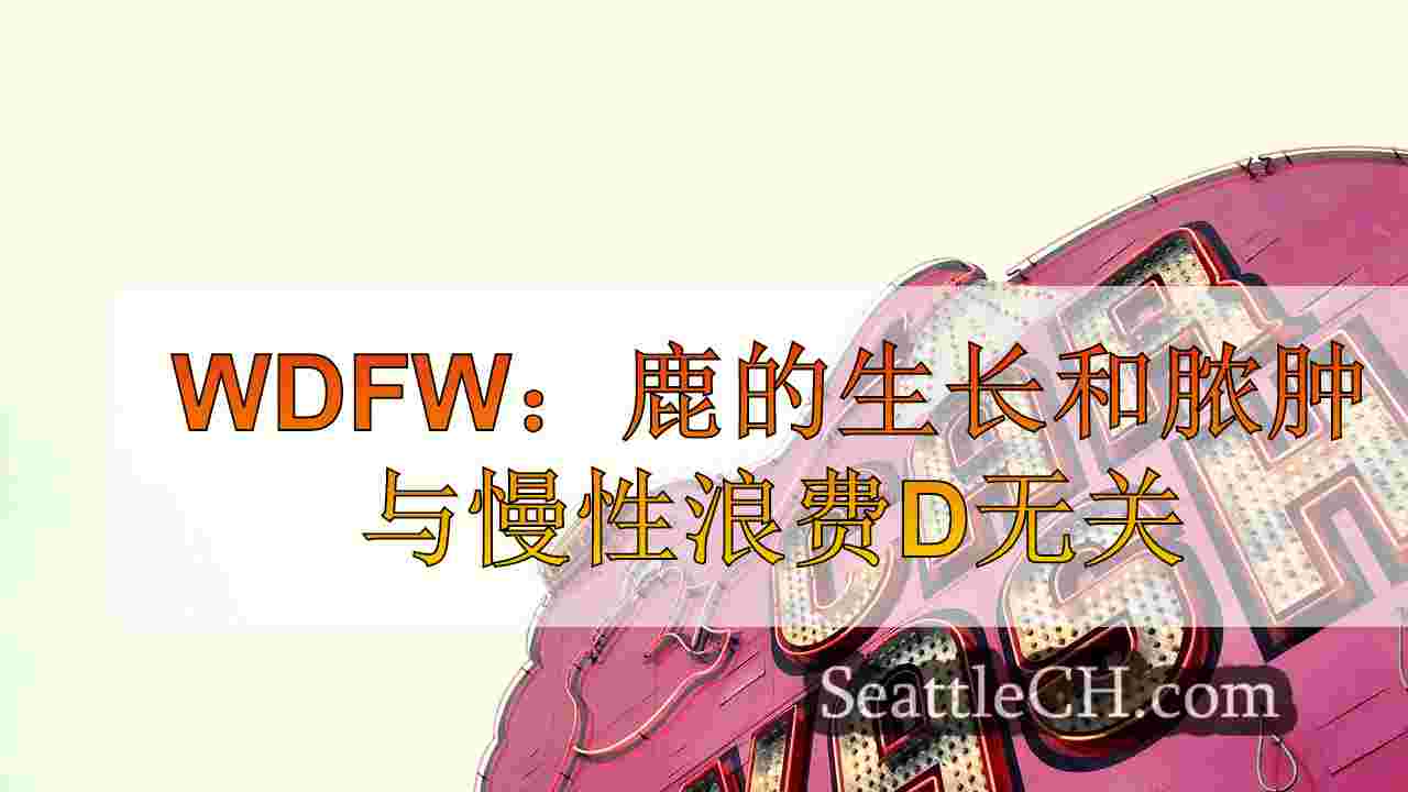 西雅图新闻 SeattleCH