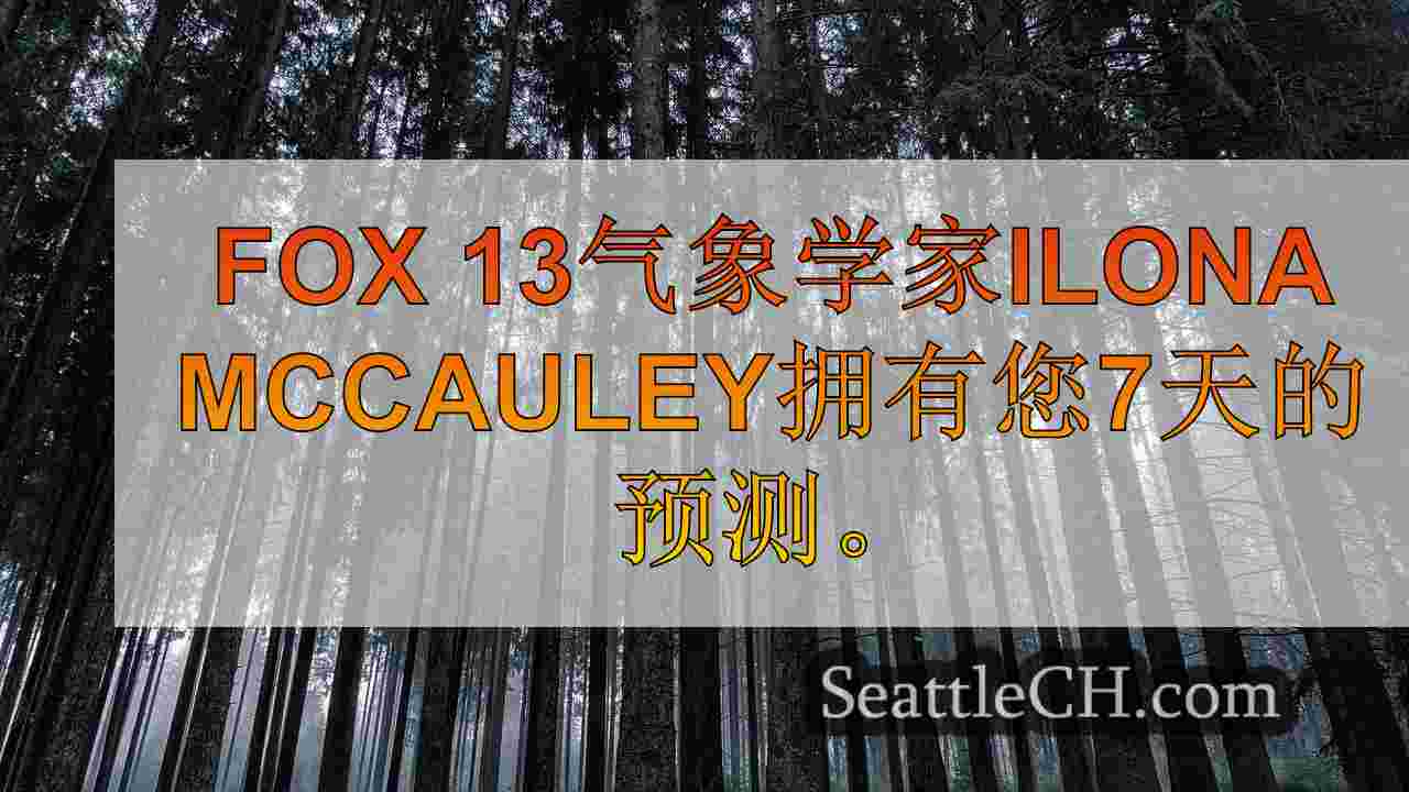 西雅图新闻 SeattleCH