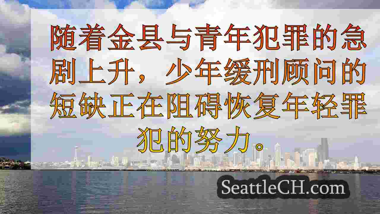 在金县，青年犯罪飙升，缓刑顾问努力跟上