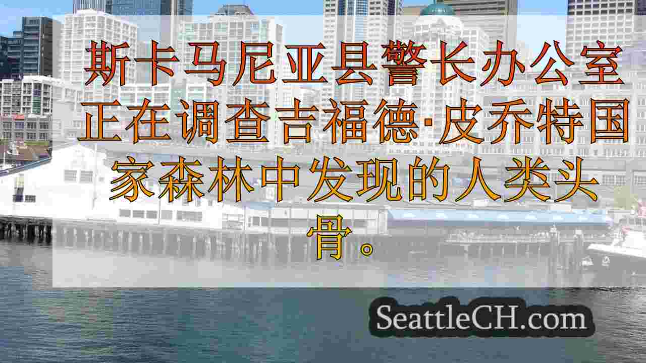 西雅图新闻 SeattleCH