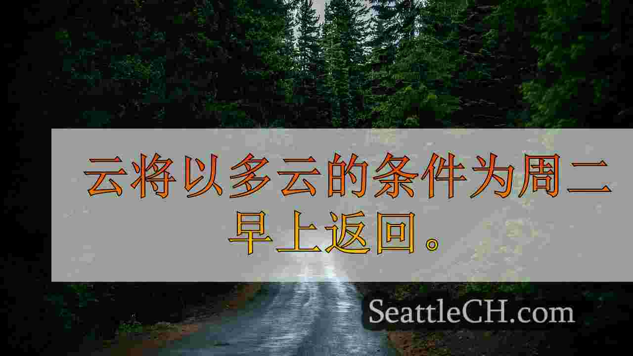 西雅图新闻 SeattleCH