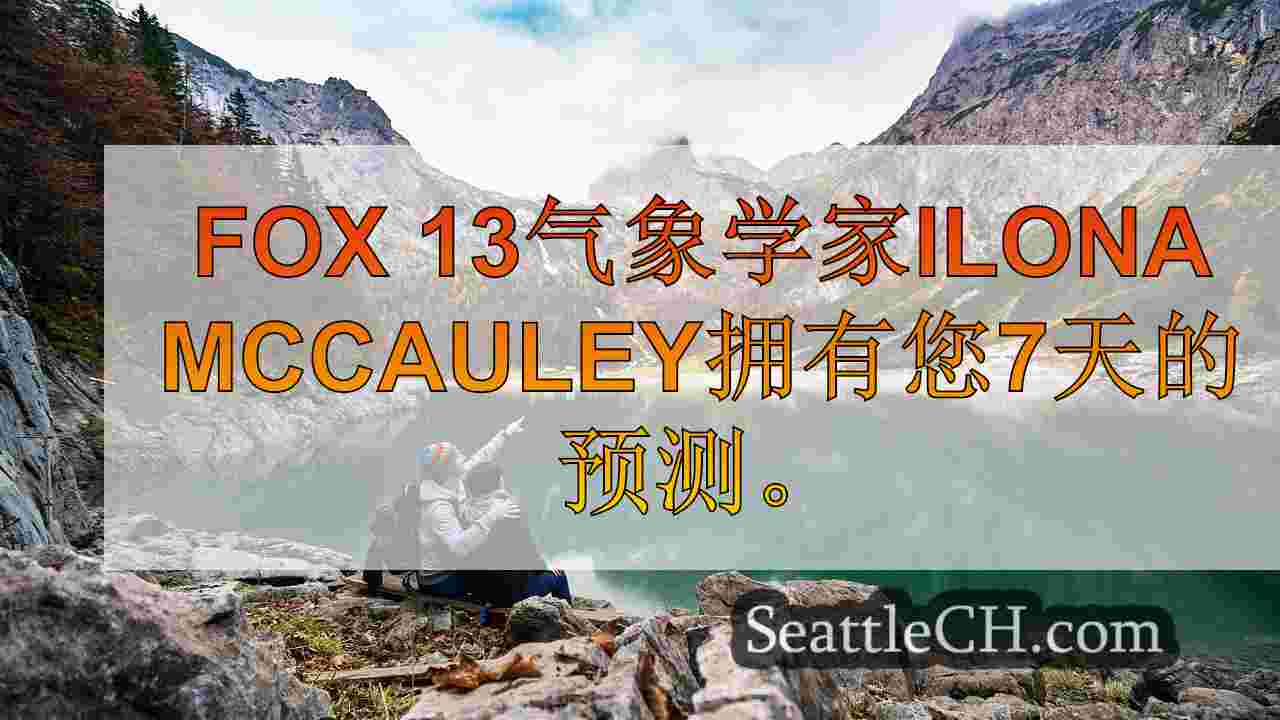 西雅图新闻 SeattleCH