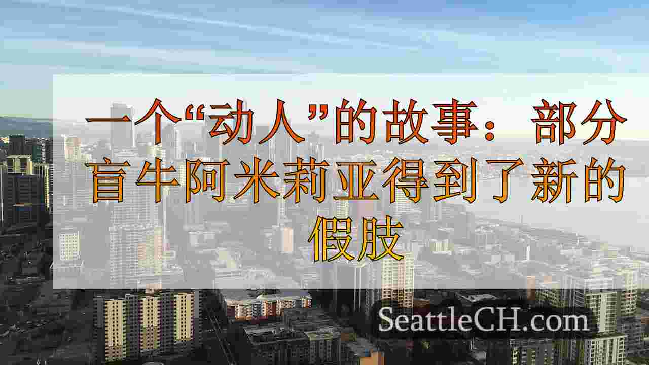 西雅图新闻 SeattleCH