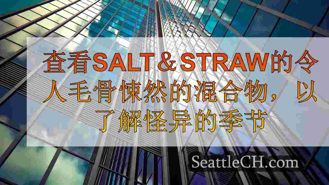 西雅图新闻 SeattleCH