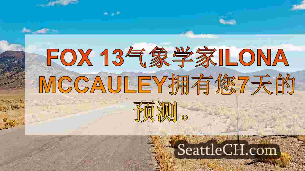西雅图新闻 SeattleCH