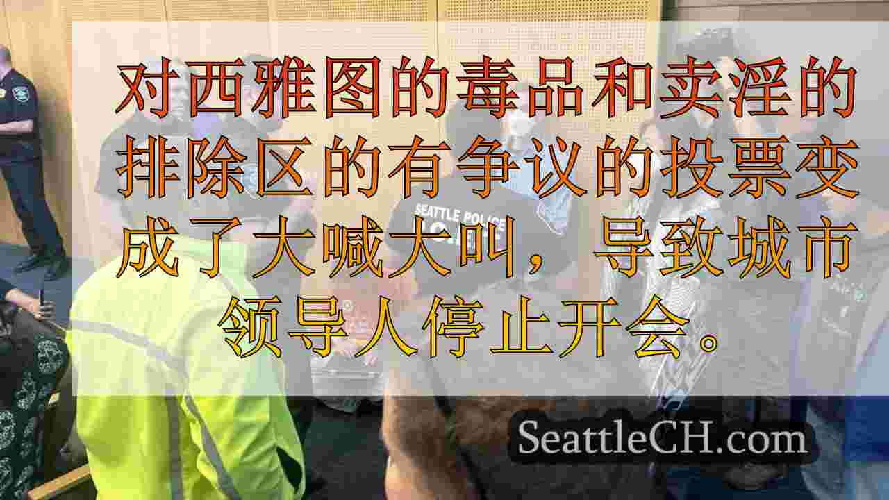 西雅图市议会在混乱委员会会议上批准有争议的区域