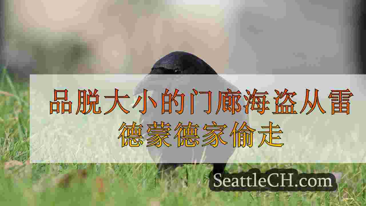 品脱大小的门廊海盗从雷德蒙德家偷走