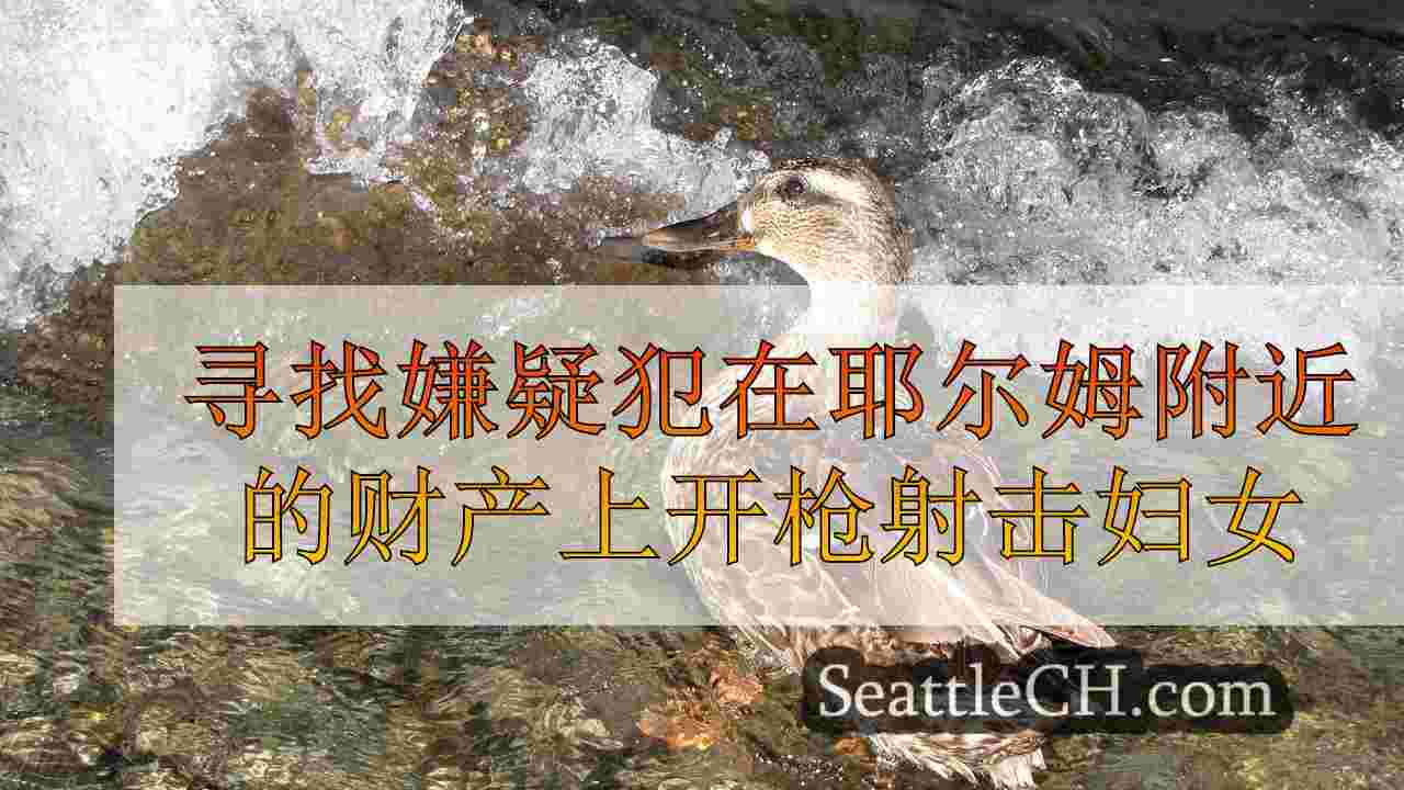 西雅图新闻 SeattleCH