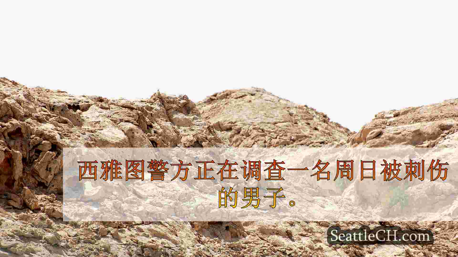 西雅图新闻 SeattleCH