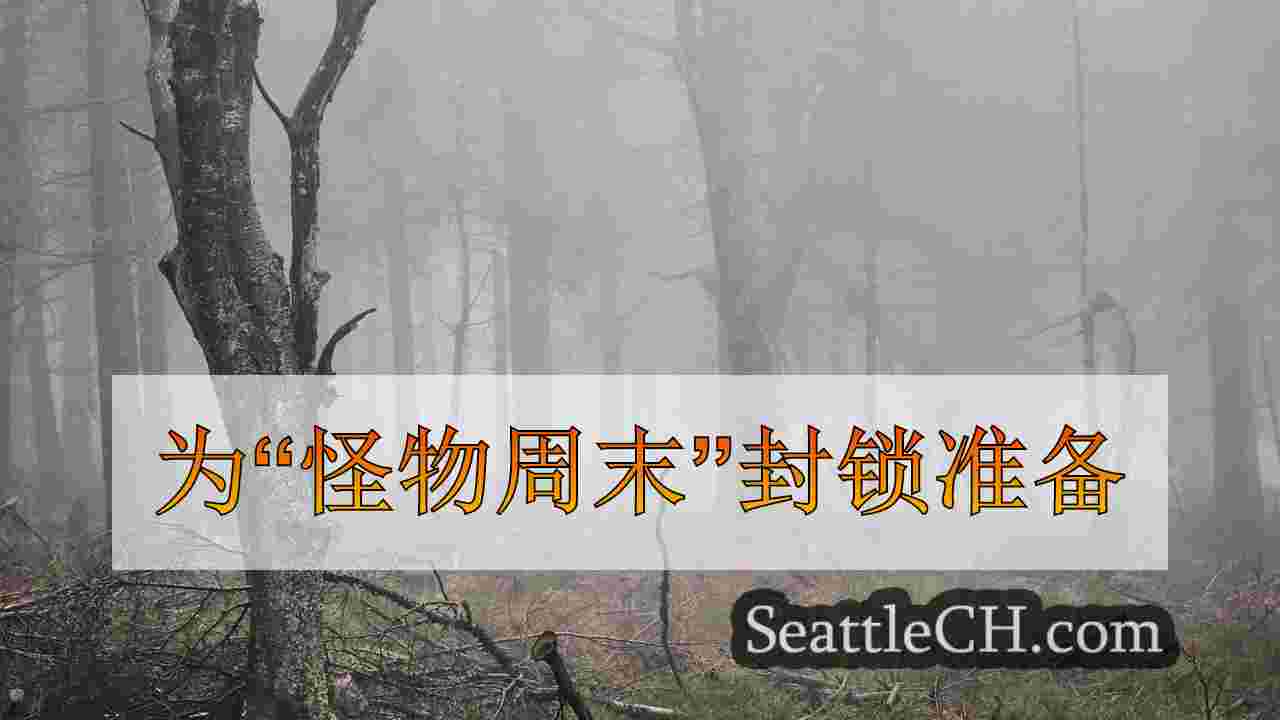 西雅图新闻 SeattleCH