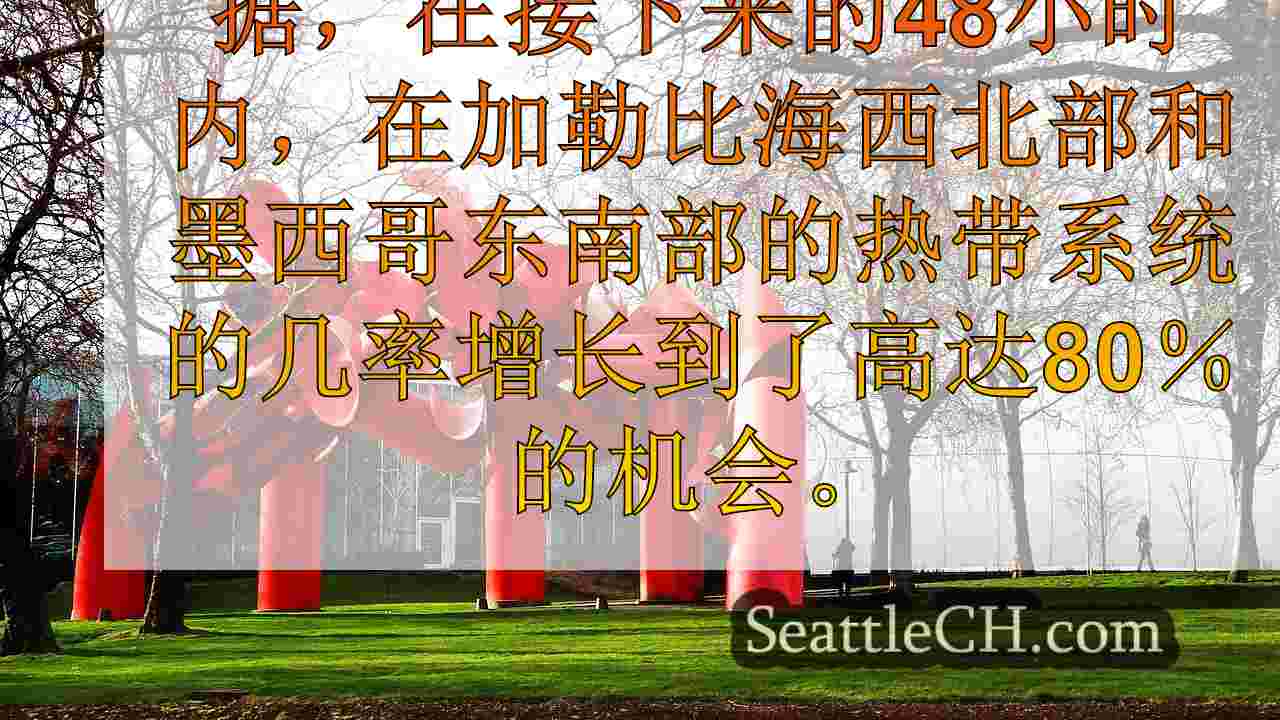 西雅图新闻 SeattleCH