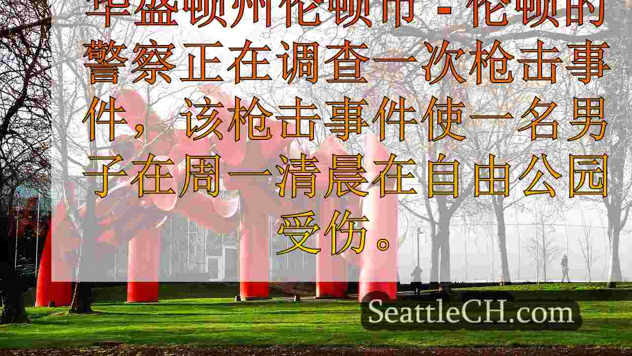 西雅图新闻 SeattleCH