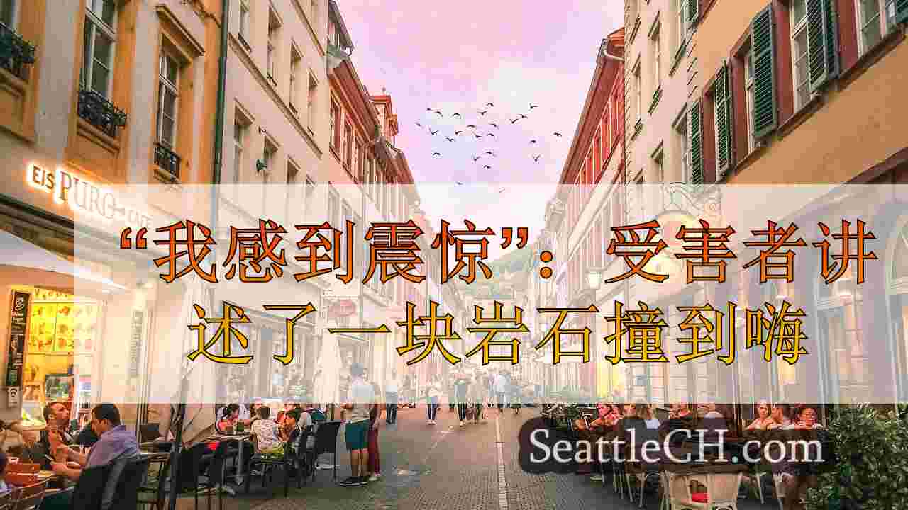 西雅图新闻 SeattleCH