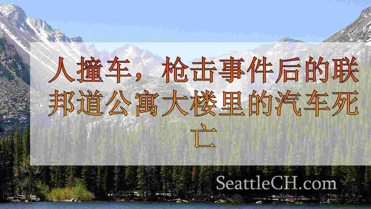 西雅图新闻 SeattleCH