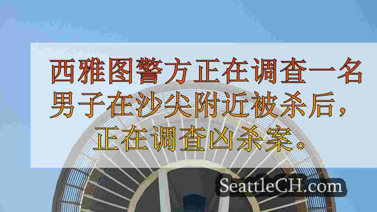 西雅图新闻 SeattleCH