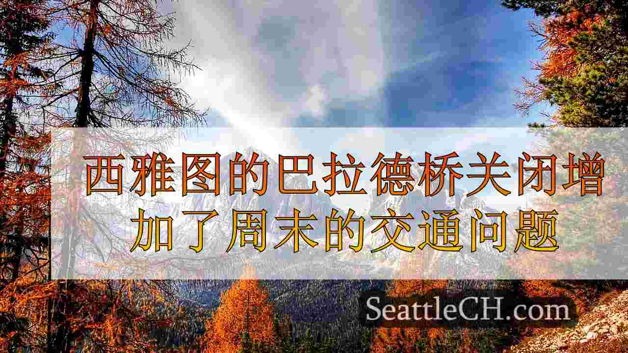 西雅图新闻 SeattleCH
