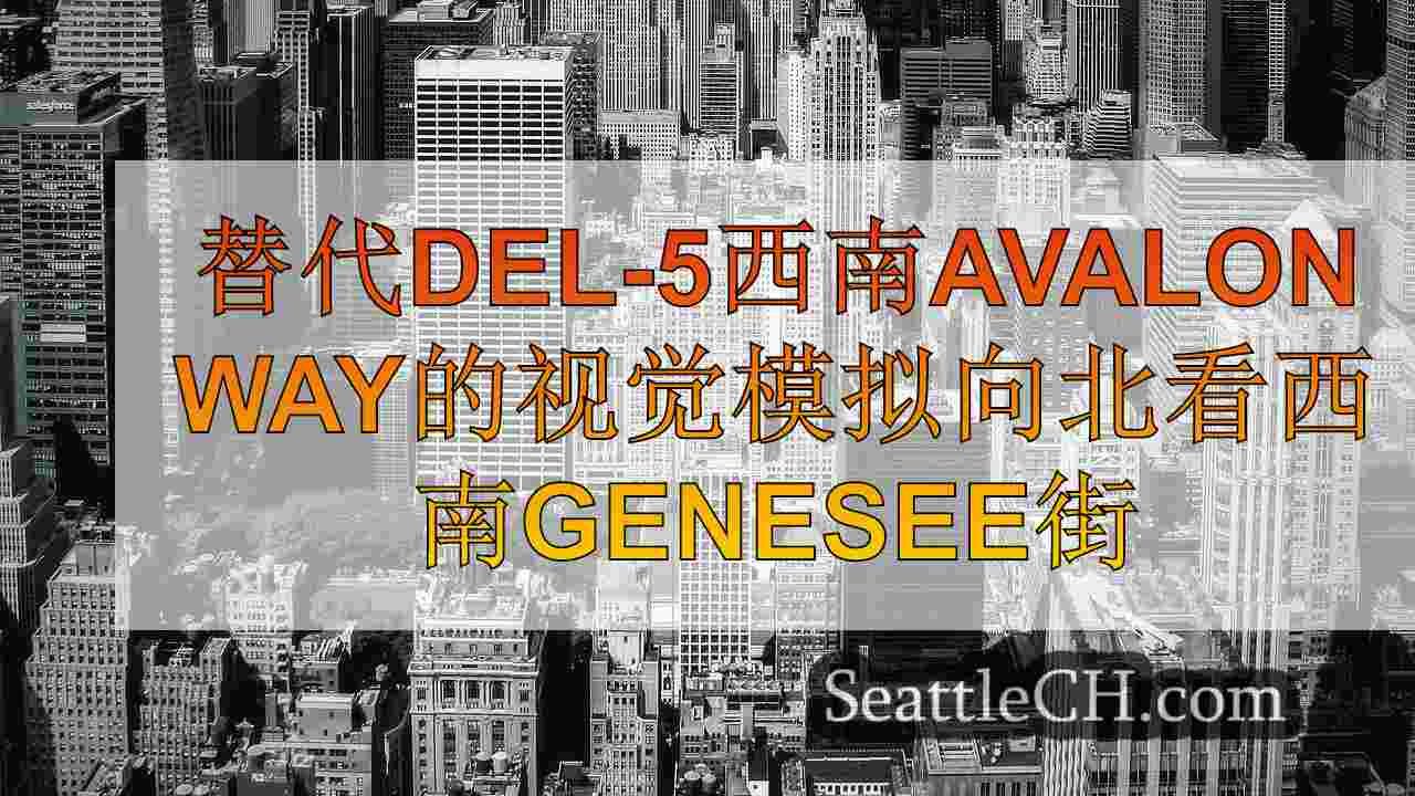 西雅图新闻 SeattleCH
